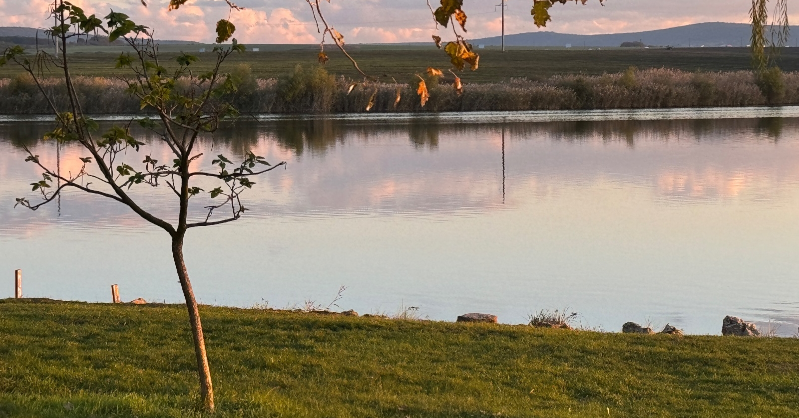 первый шаблонный